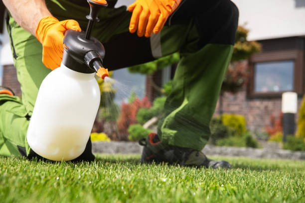 Best Affordable Pest Control Services  in Painesville, OH