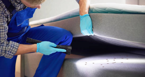 Best Flea Control Services  in Painesville, OH