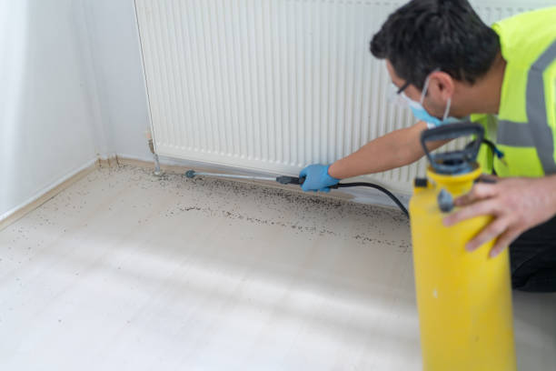 Best Exterminator Services  in Painesville, OH