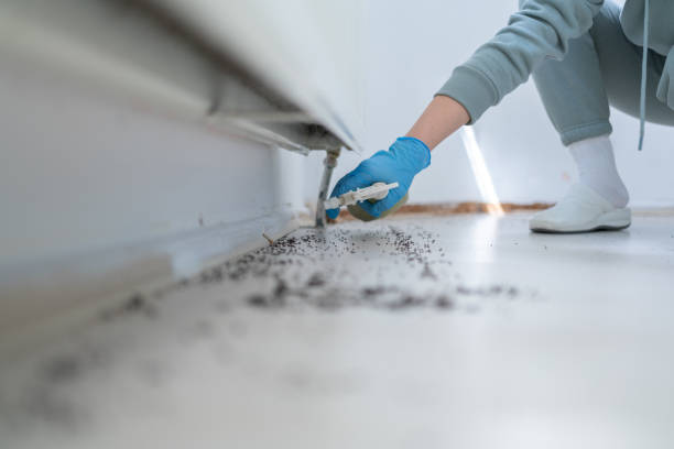 Wildlife Control Services in Painesville, OH