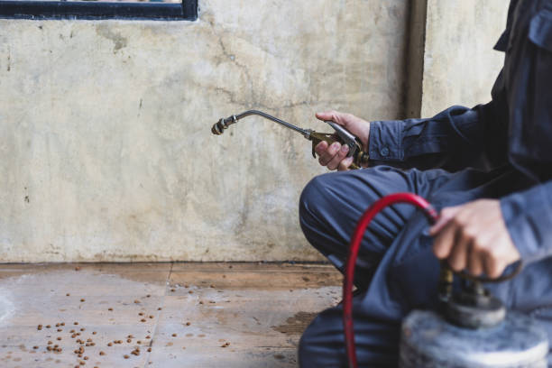 Best Pest Inspection Near Me  in Painesville, OH
